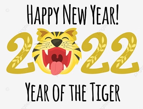 2022 china tiger