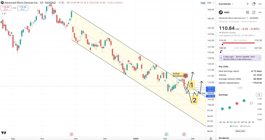 AMD daily chart with the recent failed breakout