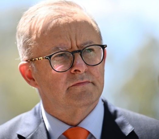 Albanese