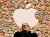 Apple Cook