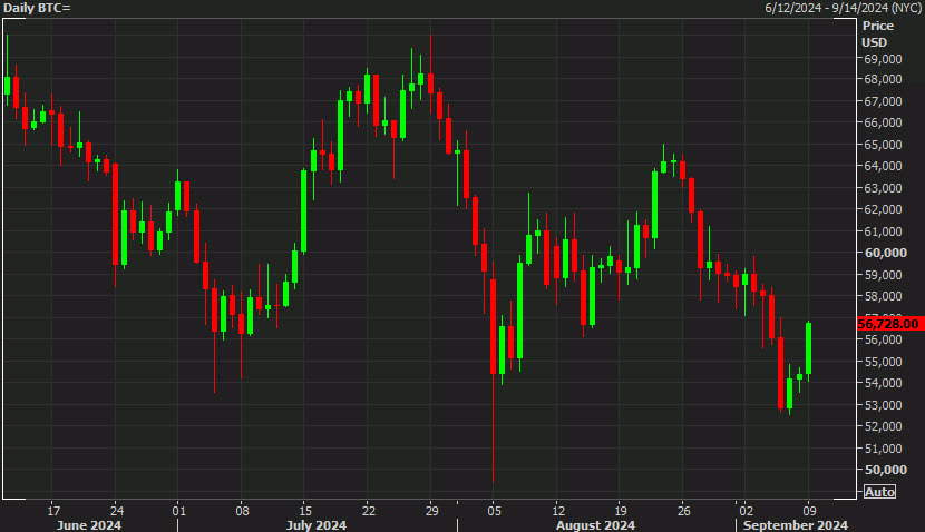 BTC day