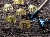 Bitcoin Futures Analysis for Today