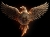 Bitcoin phoenix