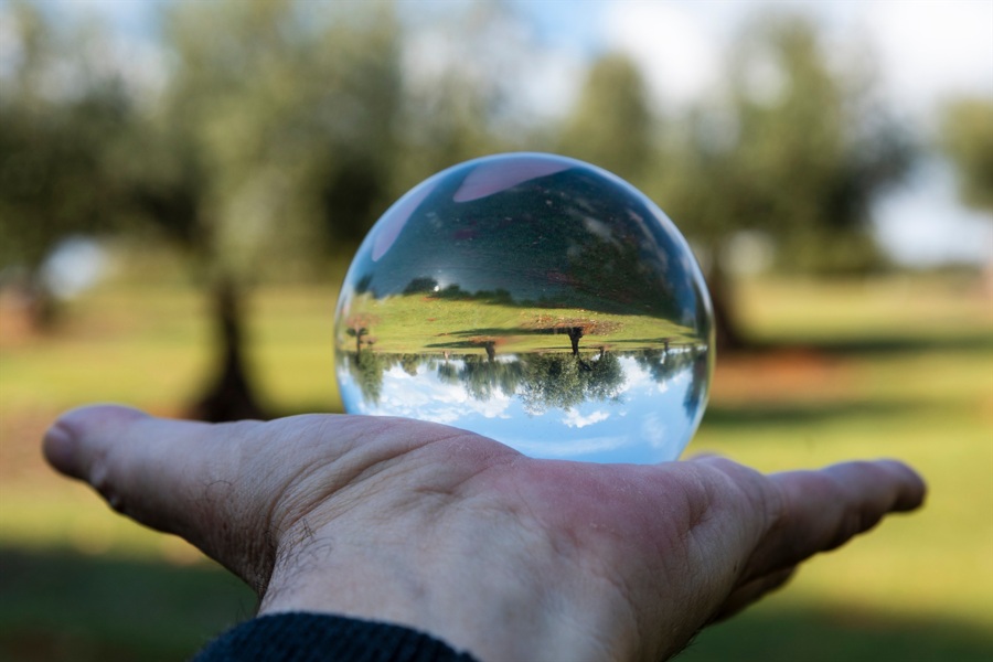 Bond market is not a crystal ball but it's usually right!