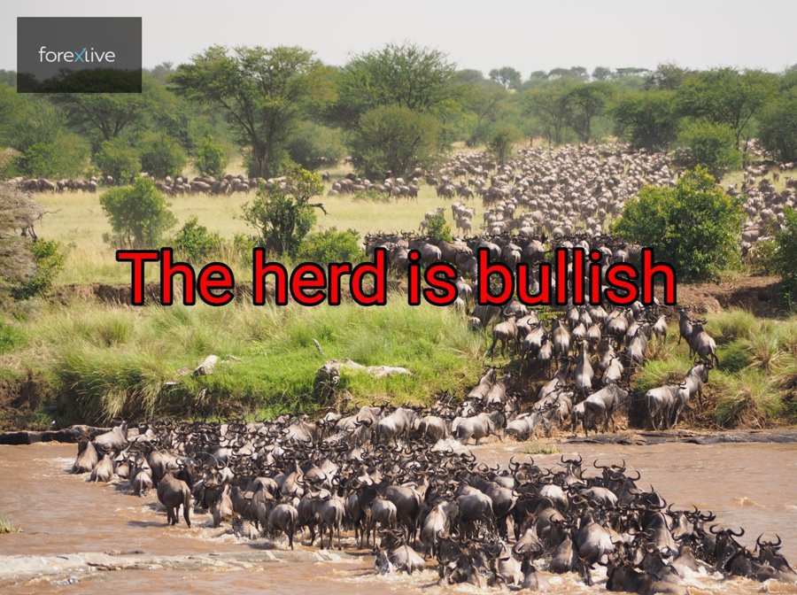 Bulls dominate but the video shows why a reversal may be imminent