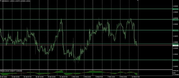 market outlook