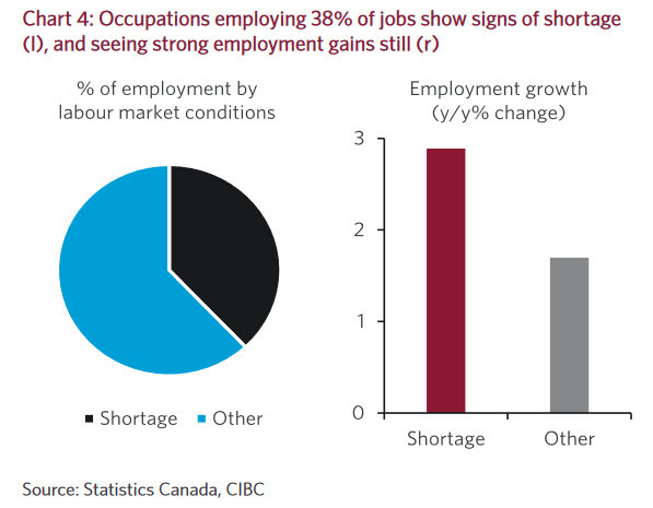Canada employment shortage jobs