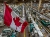 Canada manufacturing factory