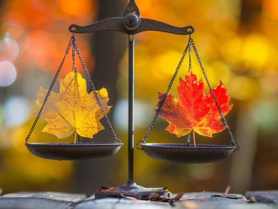 Canada Q3 current account -9.68 billion vs -16.50 billion expected | investingLive