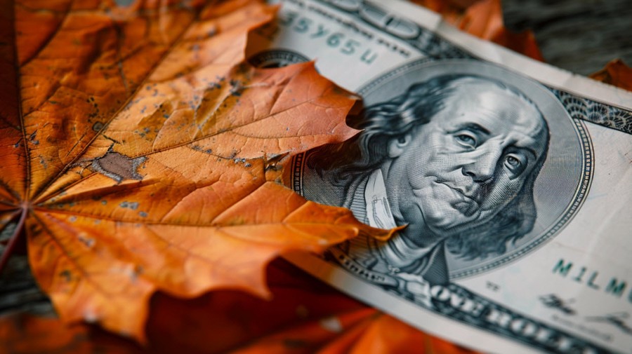 Canadian dollar loonie vs US dollar