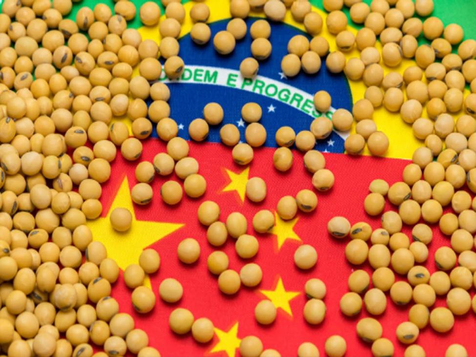 China president Xi reportedly held phone talks with Brazil president Lula | investingLive