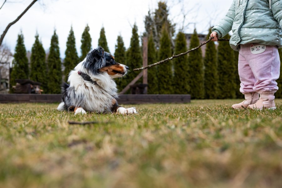 Your 1st real estate investment? Consider the backyard