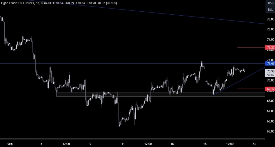 Crude Oil Technical Analysis