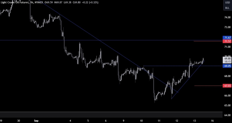 Crude Oil Technical Analysis