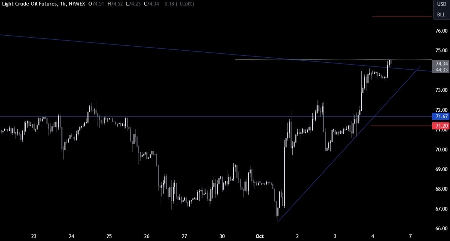 Crude Oil Technical Analysis