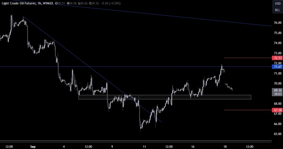 Crude Oil Technical Analysis