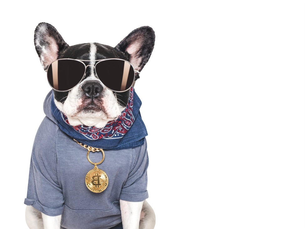 Bitcoin Futures Evaluation In the present day: BTC Stalls Beneath 74,535 Bitcoin Futures Evaluation In the present day: BTC Stalls Beneath 74,535