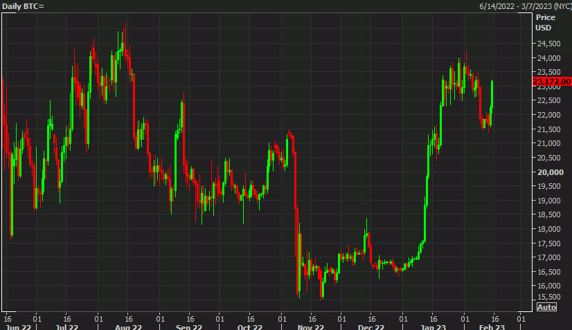 Daily bitcoin chart d