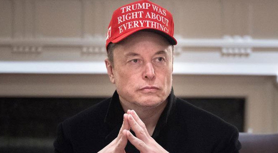 Elon Musk MAGA hat