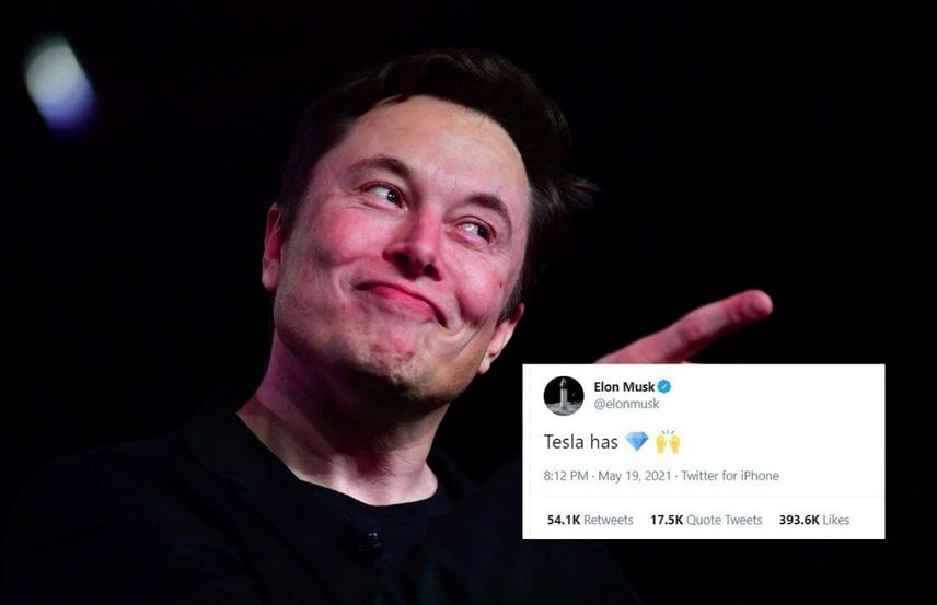 Elon musk says tesla has diamond hands on crypto