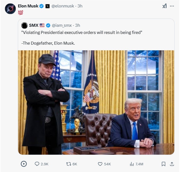 Elon