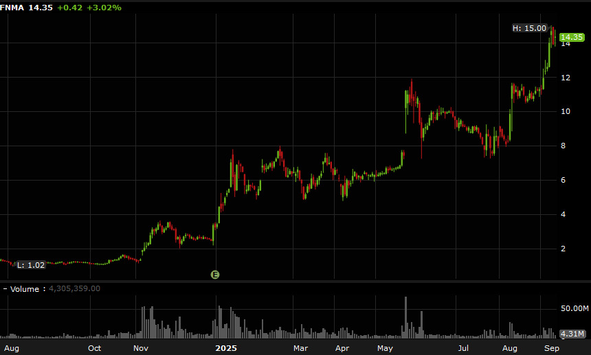 FNMA shares
