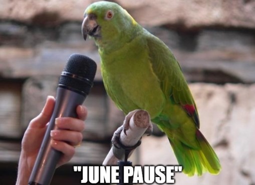 Federal Reserve june pause 22 May 2023