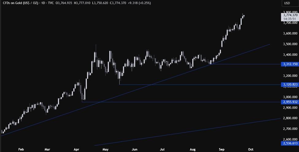 The gold rush continues: whats the current picture and what are the risks?