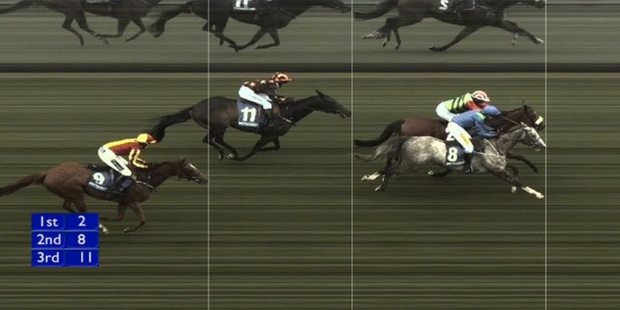 Horse race