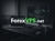 How ForexVPS Eliminates Trading Execution Friction