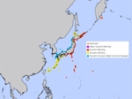 Tsunami warning hawaii expected size