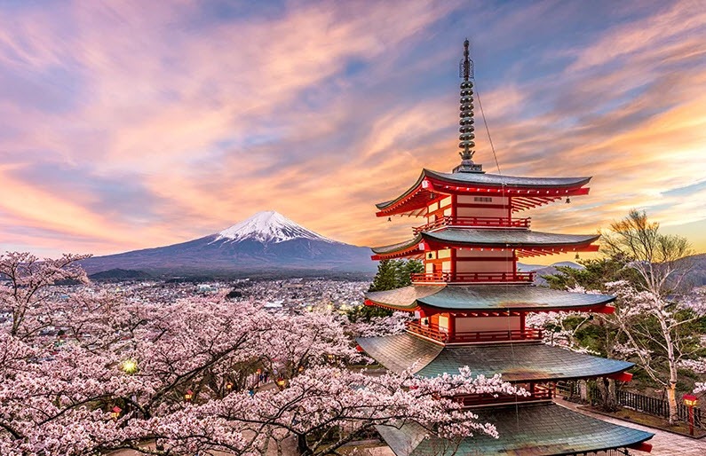 Japan Sakura