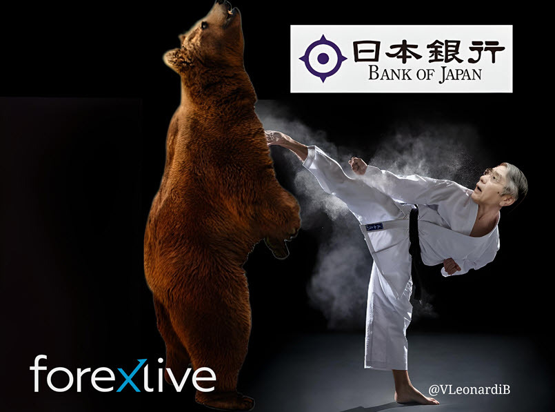 Kuroda bear karate meme