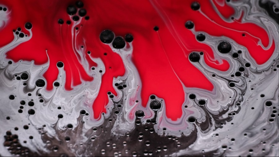 Liquidity Ratios: Company’s Ability to Survive the Short Term