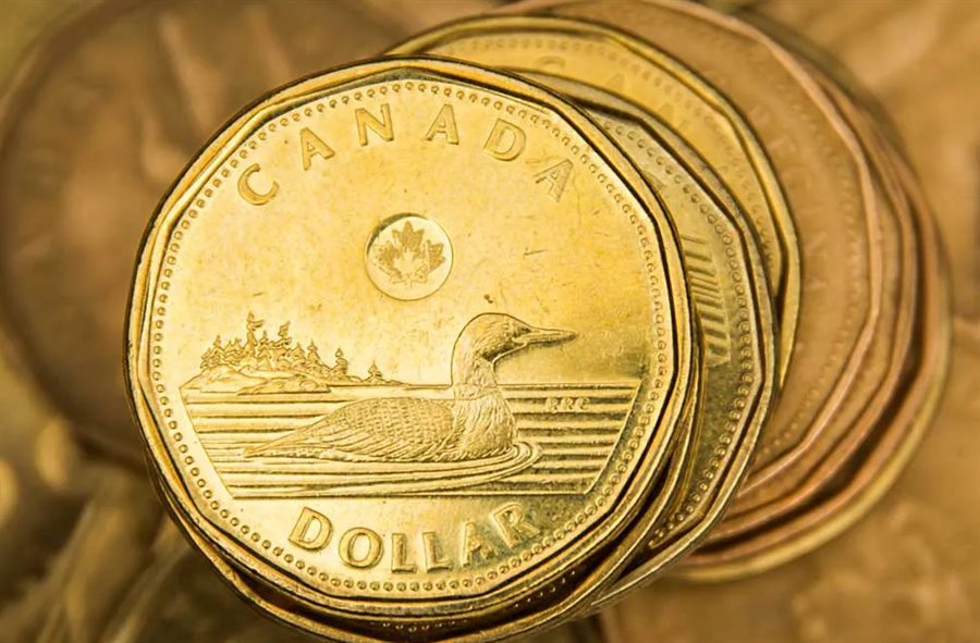 Loonie