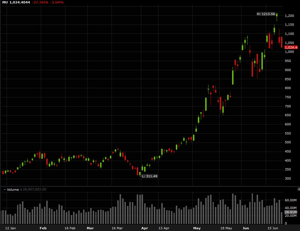 MIcron daily