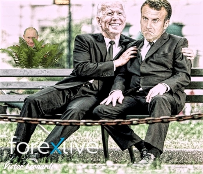 Macron Biden putin in bushes meme