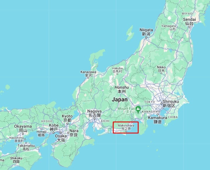Makinohara Japan Bank of Japan ueda October 2024