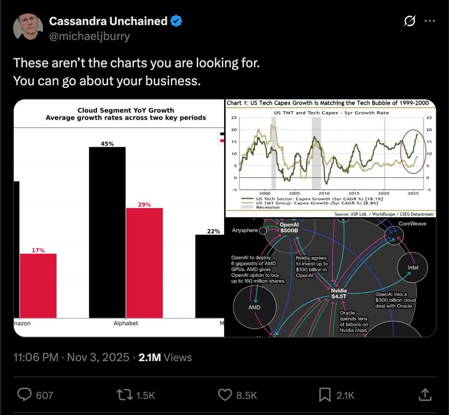 Michael Burry's post hours before PLTR's recent earnings