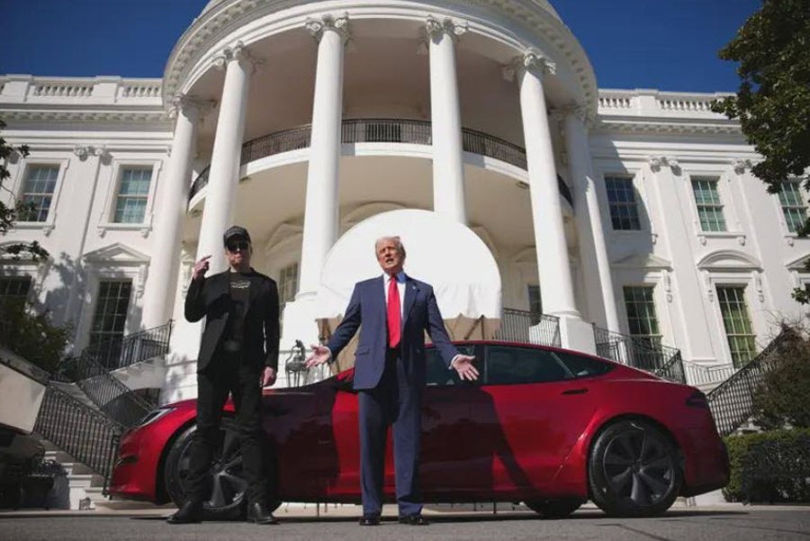 Musk Trump