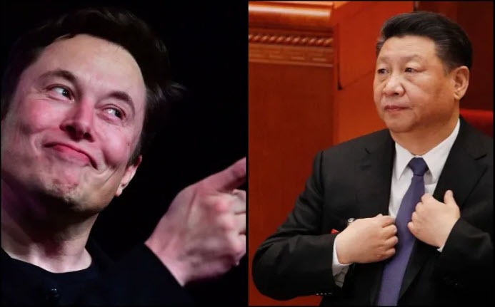 Musk Xi