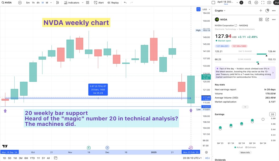 NVDA stock finds support in the magic number 20 weekly bars