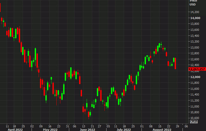 Nasdaq daily chart Aug 26