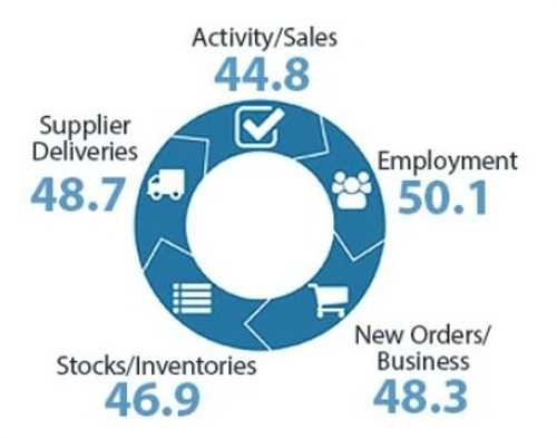 New Zealand Services PMI