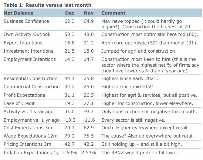 New Zealand business survey 19 December 2024 2