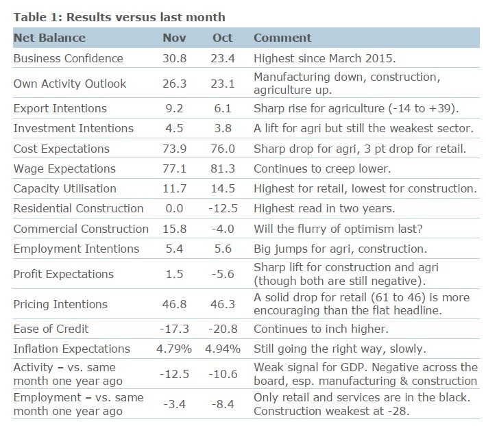 New Zealand business survey November 2023