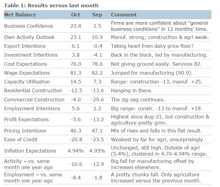 New Zealand business survey October 2023
