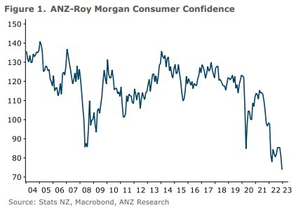New Zealand consumer 21 December 2022