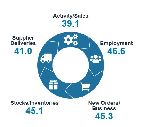 New Zealand services PMI psi July 2024 2