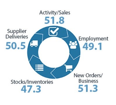 New Zealand services  pmi june 2023